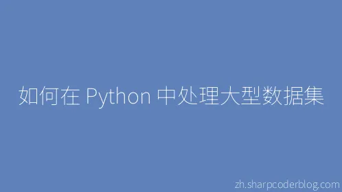 如何在 Python 中处理大型数据集 - Thumbnail