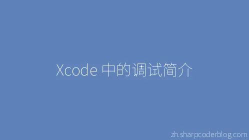 Xcode 中的调试简介 - Thumbnail