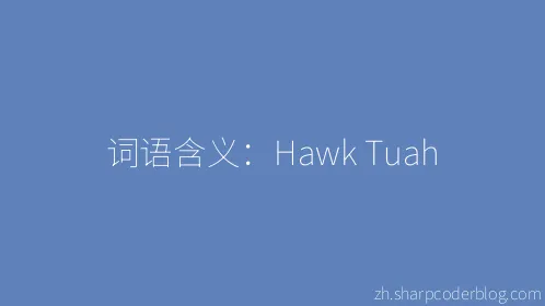 词语含义：Hawk Tuah - Thumbnail