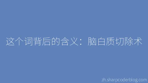 这个词背后的含义：脑白质切除术 - Thumbnail